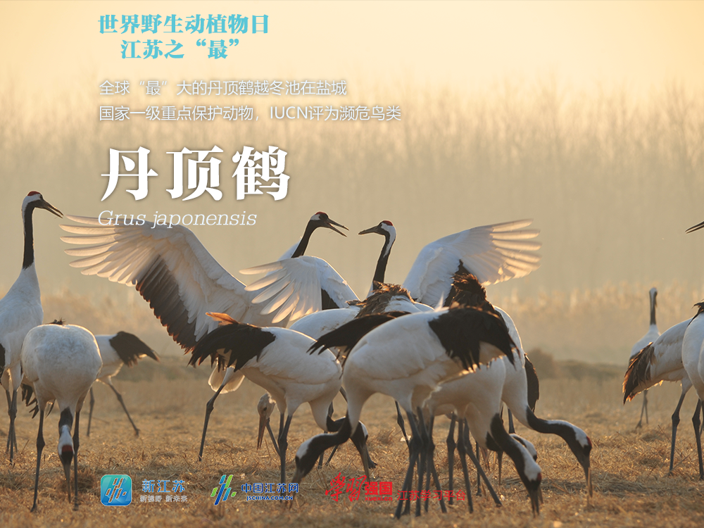 图源：江苏省生态环境厅