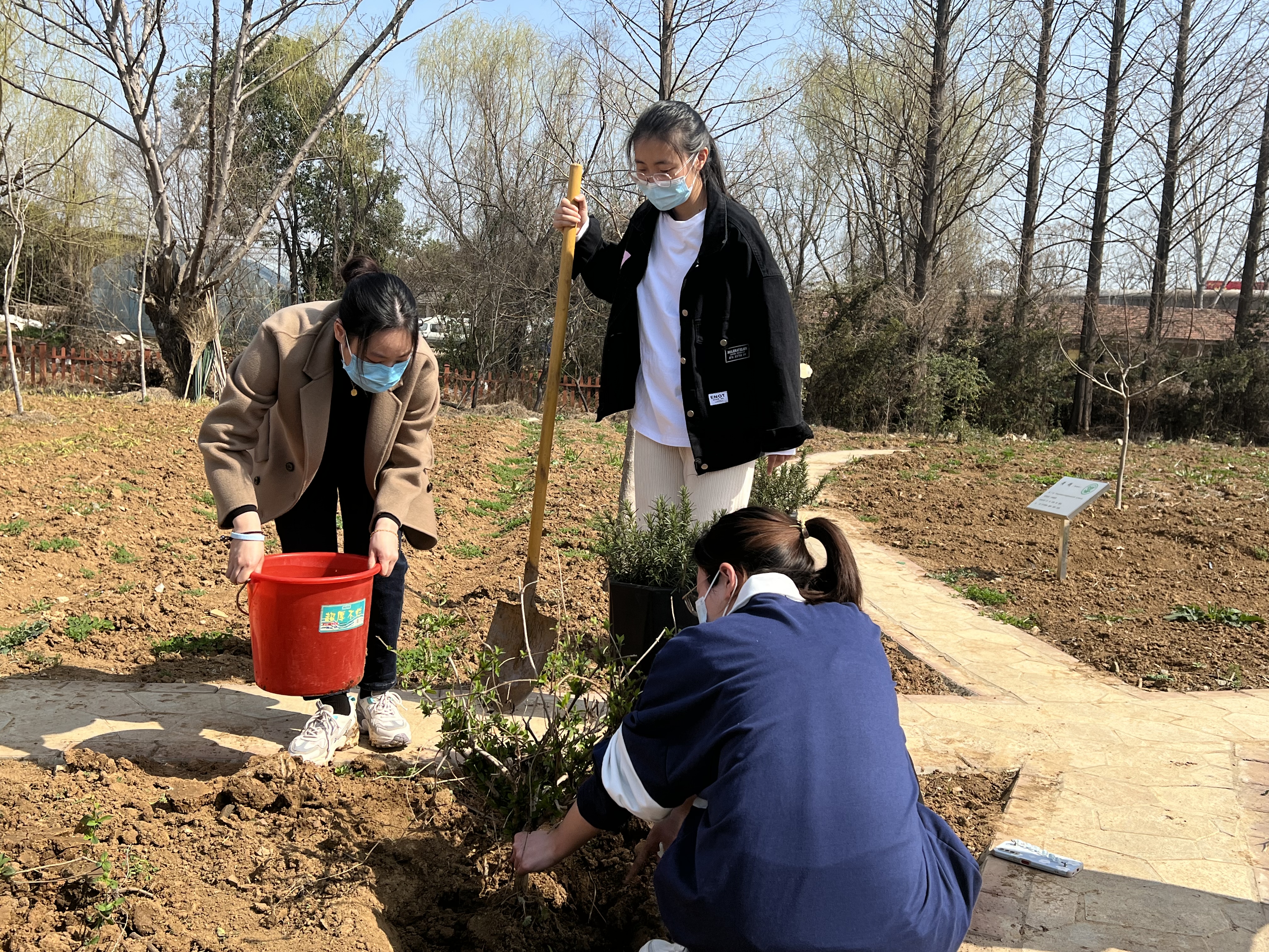 新江苏植树节种植金银花南医大开设别样实践活动