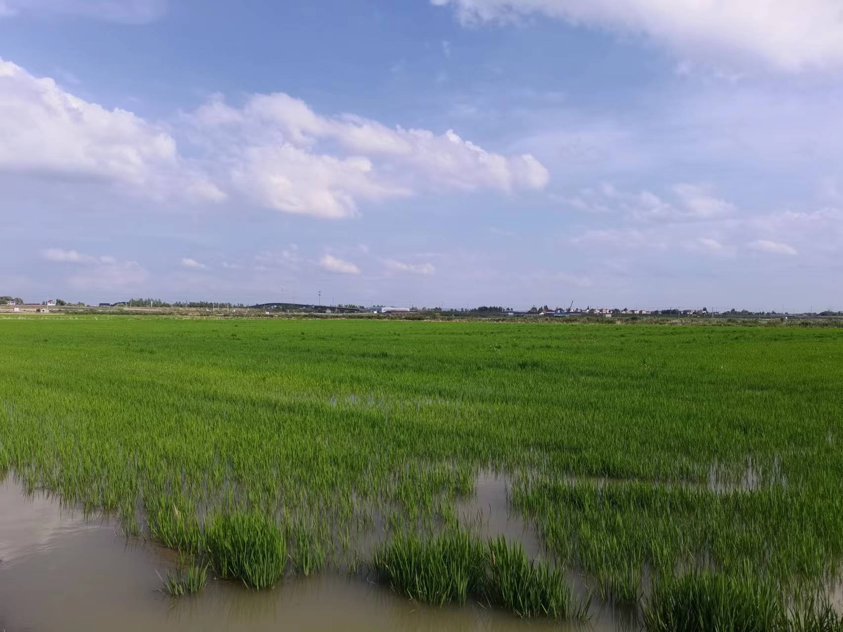 大国 粮 策 其耕泽泽 载获济济 江苏高标准农田实现 藏粮于良田 大国 粮 策 其耕泽泽 载获济济 江苏高标准农田实现 藏粮于良田