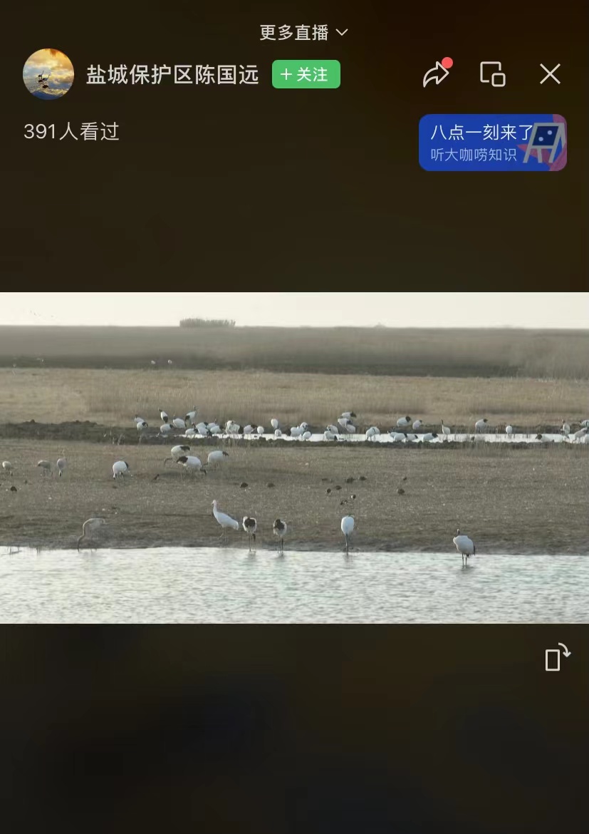他的直播间里，有万鸟翔集的风景| 新江苏 image