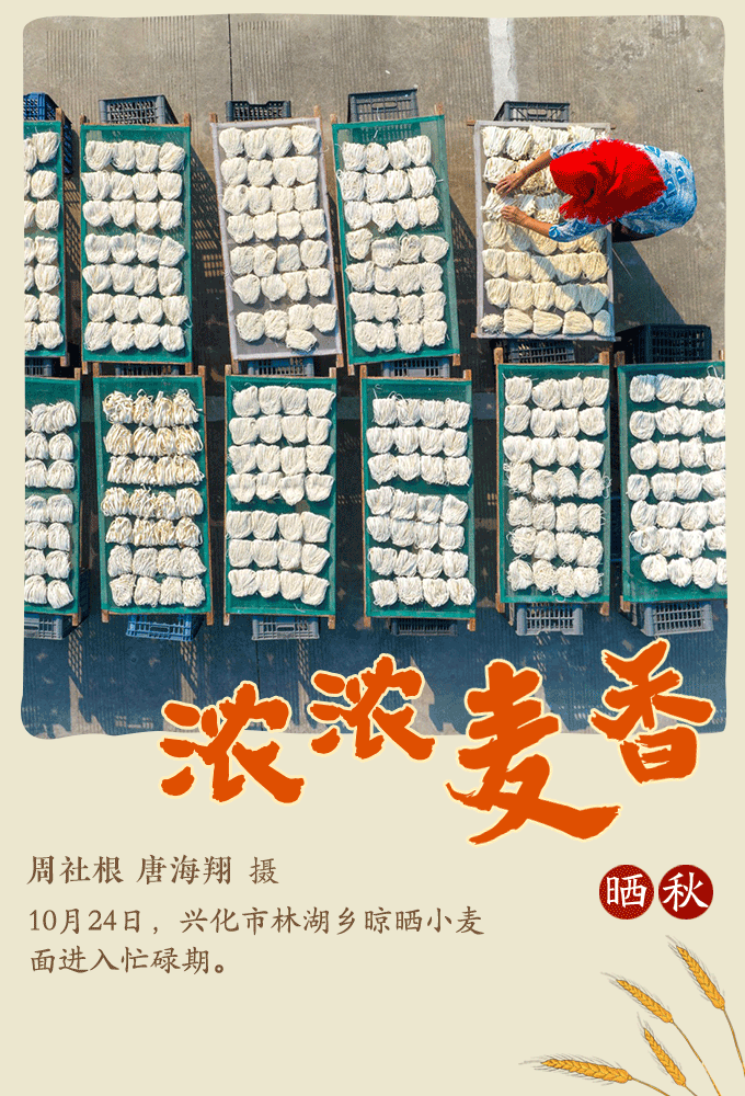 近年来，林湖乡大力实施“农产品+合作社+品牌”发展模式，带动村民增收致富，助推乡村振兴。